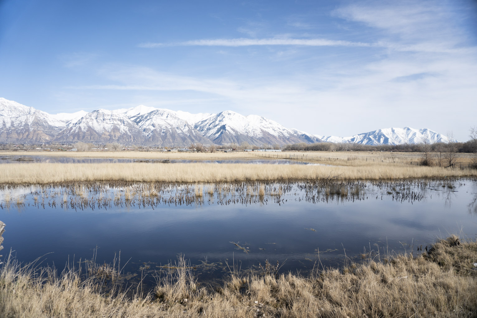 Snow-topped mountains bright in daylight, blue sky and some streaky clouds, below yellow grass and some wetland water reflecting sky blue